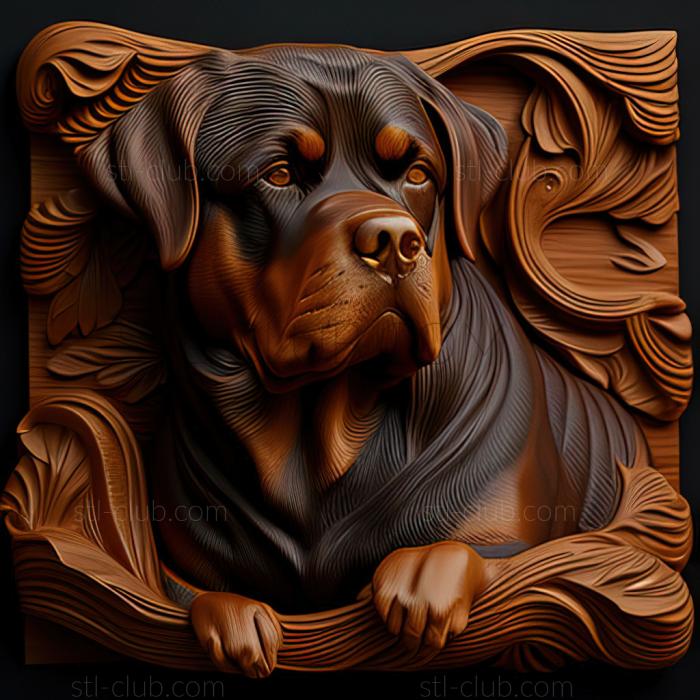 st Rottweiler dog